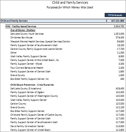 DCFS Facility-based Services Detailed Purposes